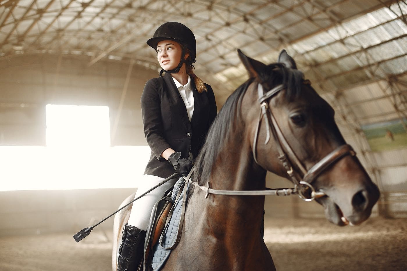 rider trains with horse