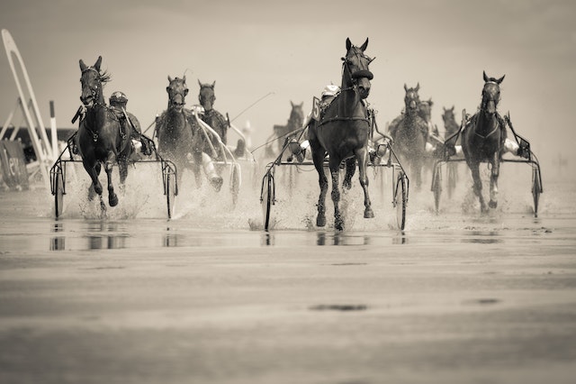 greyscale carriage horse racing over wet surface